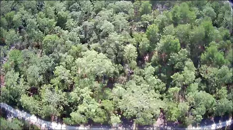 201 Deeda St, Florahome, FL 32140