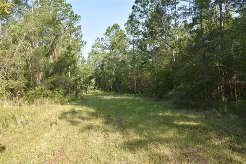 17007 County Road 1475, Gainesville, FL 32609