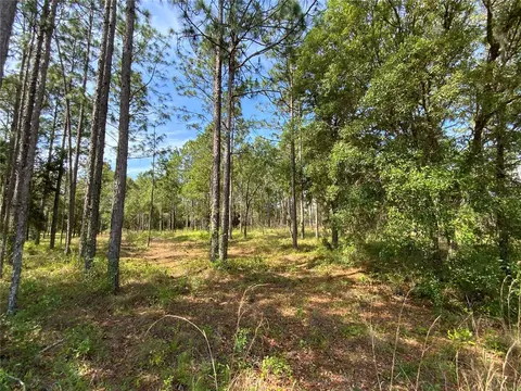 Tbd SE 78th Street, Morriston, FL 32668