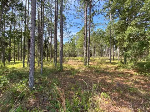 Tbd SE 78th Street, Morriston, FL 32668