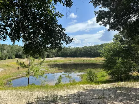 SE 113th Street Road, Ocklawaha, FL 32179