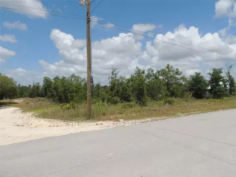 13591 NE 51st Ln, Williston, FL 32696 photo 5