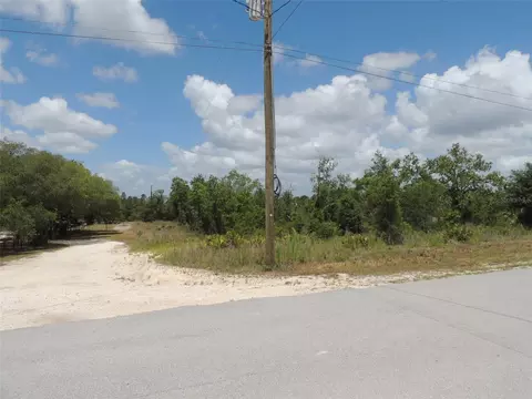 13591 NE 51st Ln, Williston, FL 32696 photo 6