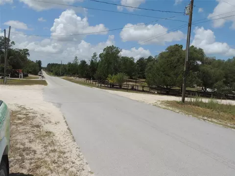 13591 NE 51st Ln, Williston, FL 32696 photo 4