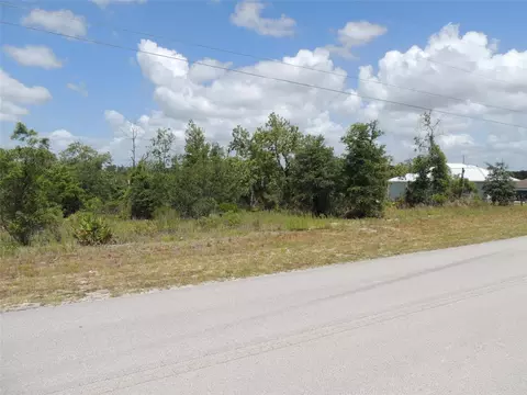 13591 NE 51st Ln, Williston, FL 32696 photo 3