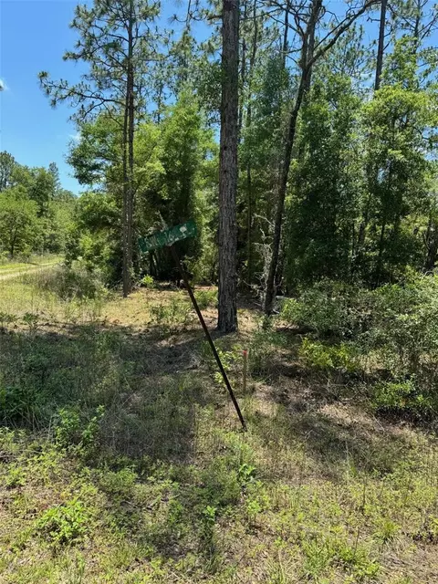 Undisclosed, Ocala, FL 34481