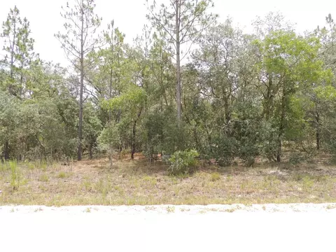 71 SE 141st Ct, Williston, FL 32696