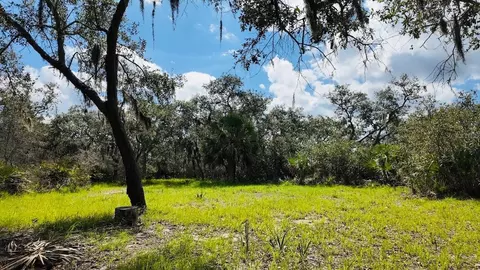 00000 Clark Is, Cedar Key, FL 32625 photo 18