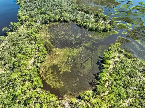 00000 Clark Is, Cedar Key, FL 32625 photo 4