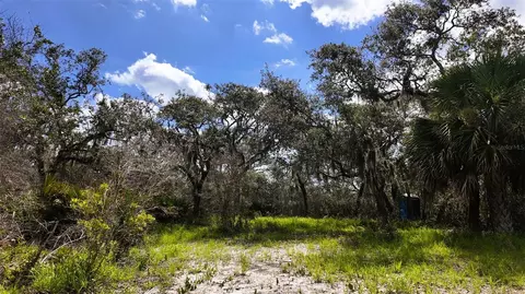 00000 Clark Is, Cedar Key, FL 32625 photo 17