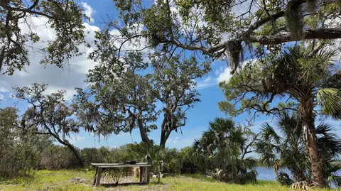 00000 Clark Is, Cedar Key, FL 32625 photo 22