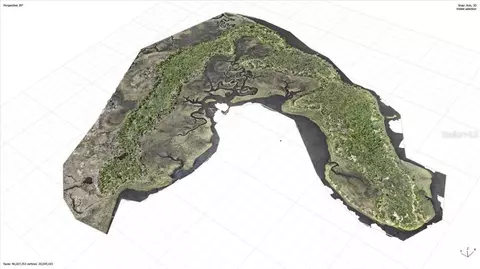 00000 Clark Is, Cedar Key, FL 32625 photo 14