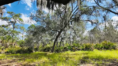 00000 Clark Is, Cedar Key, FL 32625 photo 20