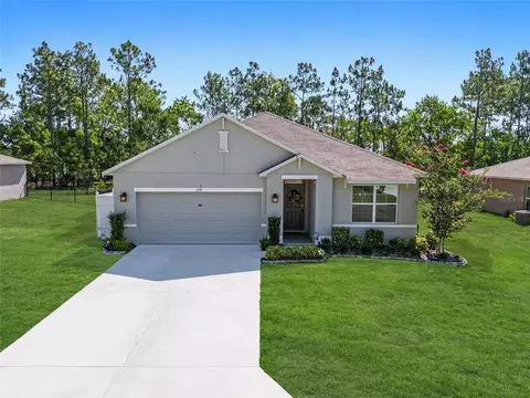 259 Hickory Course Radl, Ocala, FL 34472