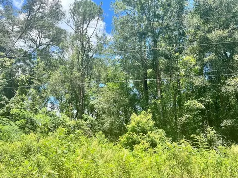 Se 140th Lane, Summerfield, FL 34491