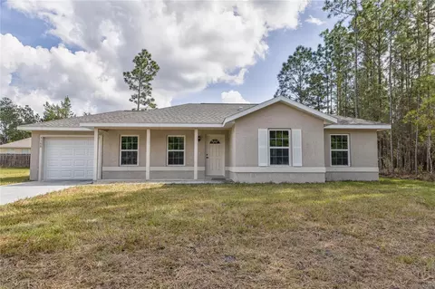 247 Malauka Loop, Ocklawaha, FL 32179