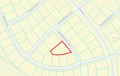 tbd Sequoia Drive Trak, Ocklawaha, FL 32179