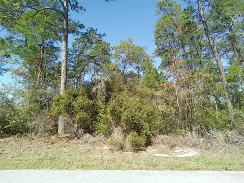9000 N Lansen Way, Citrus Springs, FL 34434