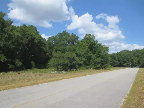 0 SE 63rd Ln, Ocklawaha, FL 32179