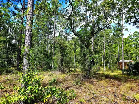 00 SE 21st Pl, Morriston, FL 32668