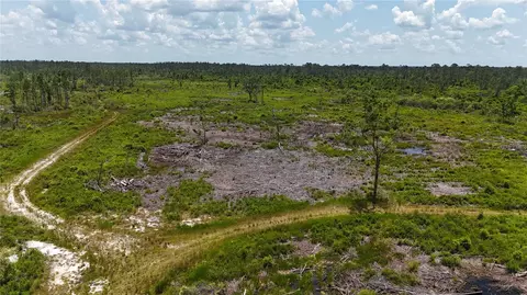 SW Gary L Thomas Road, Mayo, FL 32066