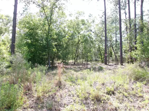 Lot 3 SW Tamiami Place, Dunnellon, FL 34431