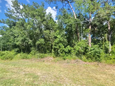 8356 Treiman Blvd, Webster, FL 33597