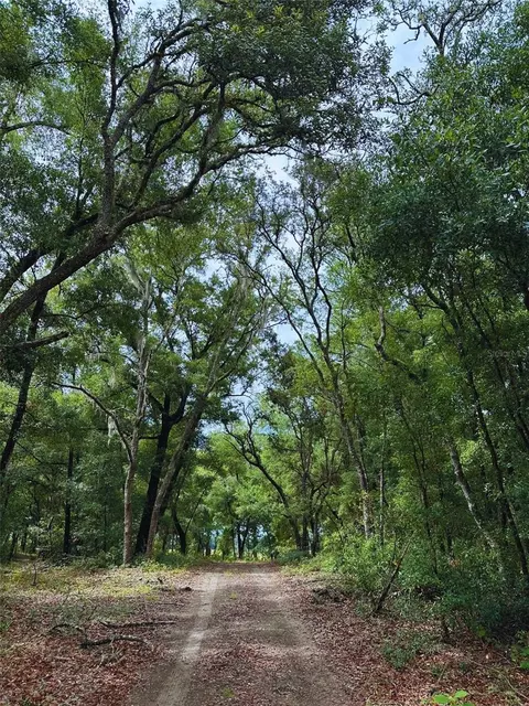Tbd SW 69th Place, Dunnellon, FL 34431