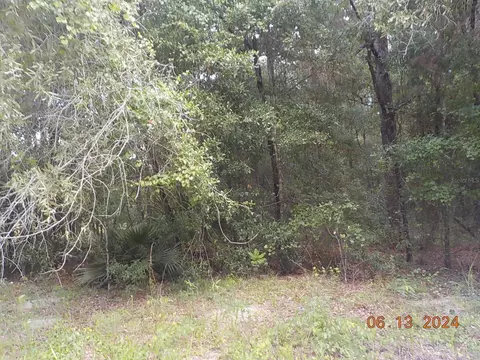 Tbd Corner Sw 100 Ave Ad Sw 152 Place, Dunnellon, FL 34432
