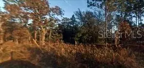 tbd SW 194th Ave, Dunnellon, FL 34432