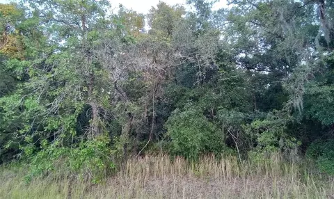 Horned Owl Road, Weeki Wachee, FL 34614