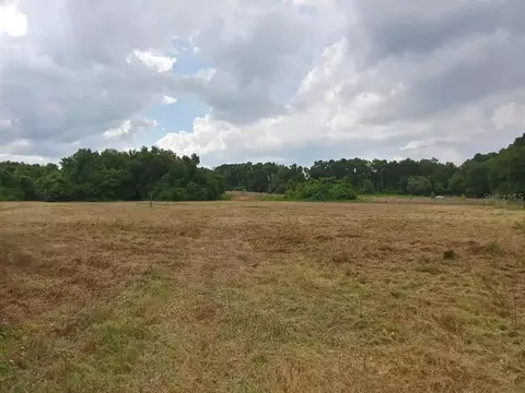 00000 NE 22nd Ter, Citra, FL 32113
