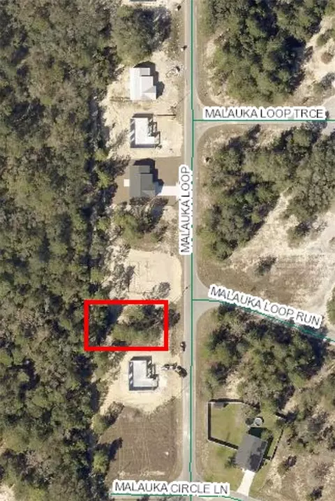 3 Malauka Loop, Ocklawaha, FL 32179