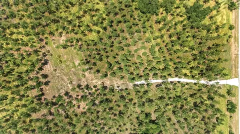 lot3 NE 90th Street Rd, Ocala, FL 34488
