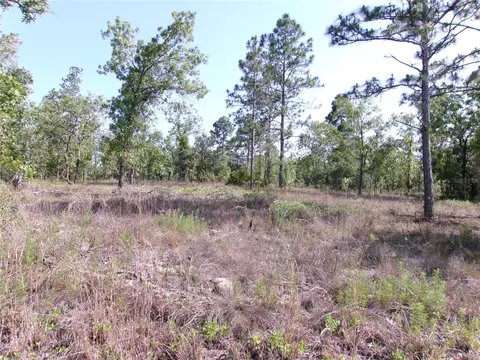 SW Mineola Lane, Dunnellon, FL 34431