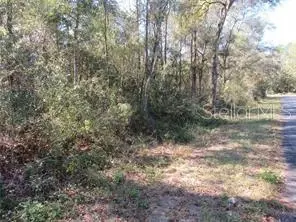0000 SW Monaco Ct, Dunnellon, FL 34431