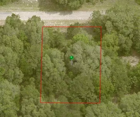 876 E Noah Ln, Citrus Springs, FL 34434