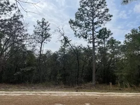 0 SW 78th Pl, Dunnellon, FL 34432