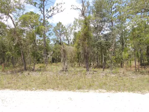 50 SE 145th Ct, Williston, FL 32696
