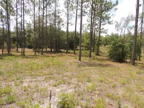 Multiple NE 134th Terrace, Williston, FL 32696
