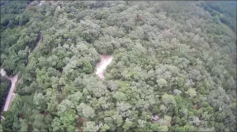Lot 10 Countyline, Hawthorne, FL 32640