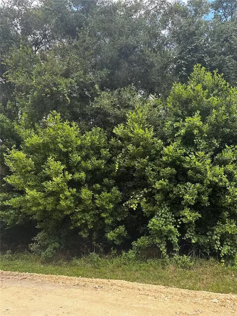 0 SW 140 Ave, Dunnellon, FL 34432