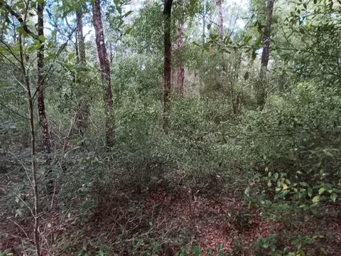 00 NE 7 St, Williston, FL 32696
