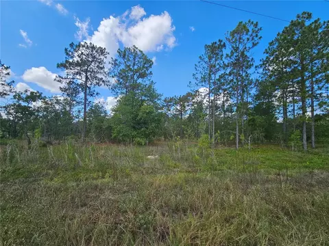 SE 73rd Lane, Morriston, FL 32668