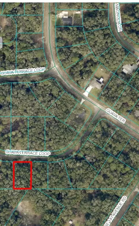0 Guava Ter Loop, Ocklawaha, FL 32179