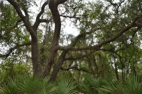 123 Meadow Dr, Georgetown, FL 32139
