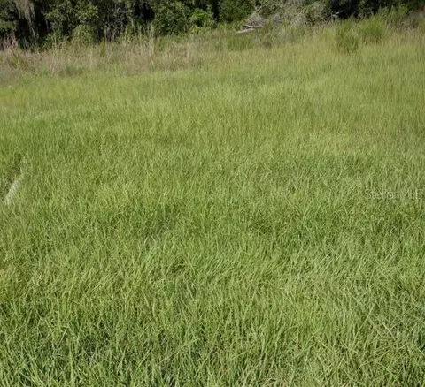 141 Angus Rd, Venus, FL 33960