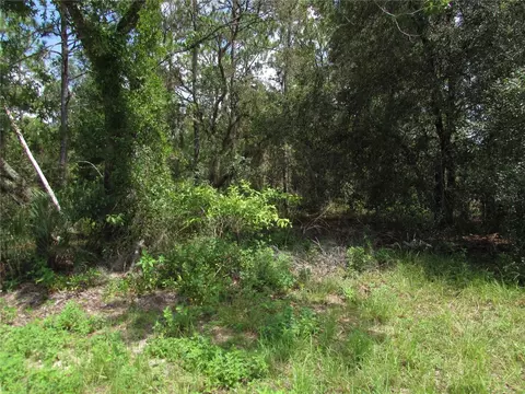 lot35 SW Sea Cliffe Ave, Dunnellon, FL 34431