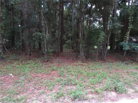 lot6 SW 40th Place Rd, Ocala, FL 34481