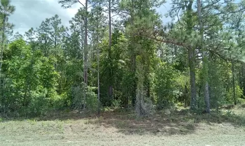 Chimney Swift Road, Brooksville, FL 34614